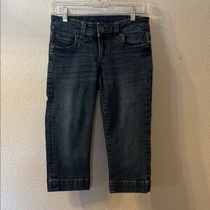 Kut from the Kloth Blue Capri Pants